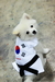 รูปย่อ kowneawpaipetshop จำหน่ายเสื้อผ้าสุนัข เสื้อหมา เสื้อแมว และอุปกรณ์ของใช้สัตว์เลี้ยง น่ารักๆนำเข้าจากเกาหลี รูปที่5