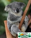 รูปย่อ ทัวร์ออสเตรเลีย เที่ยวนครซิดนีย์ สงกรานต์ 2555 รูปที่3