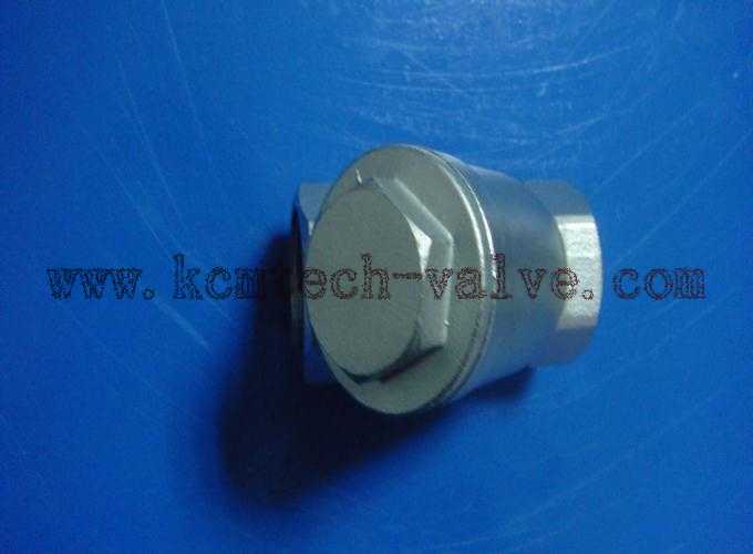 Y-Strainer (วาย สเตรนเนอร์)  รูปที่ 6