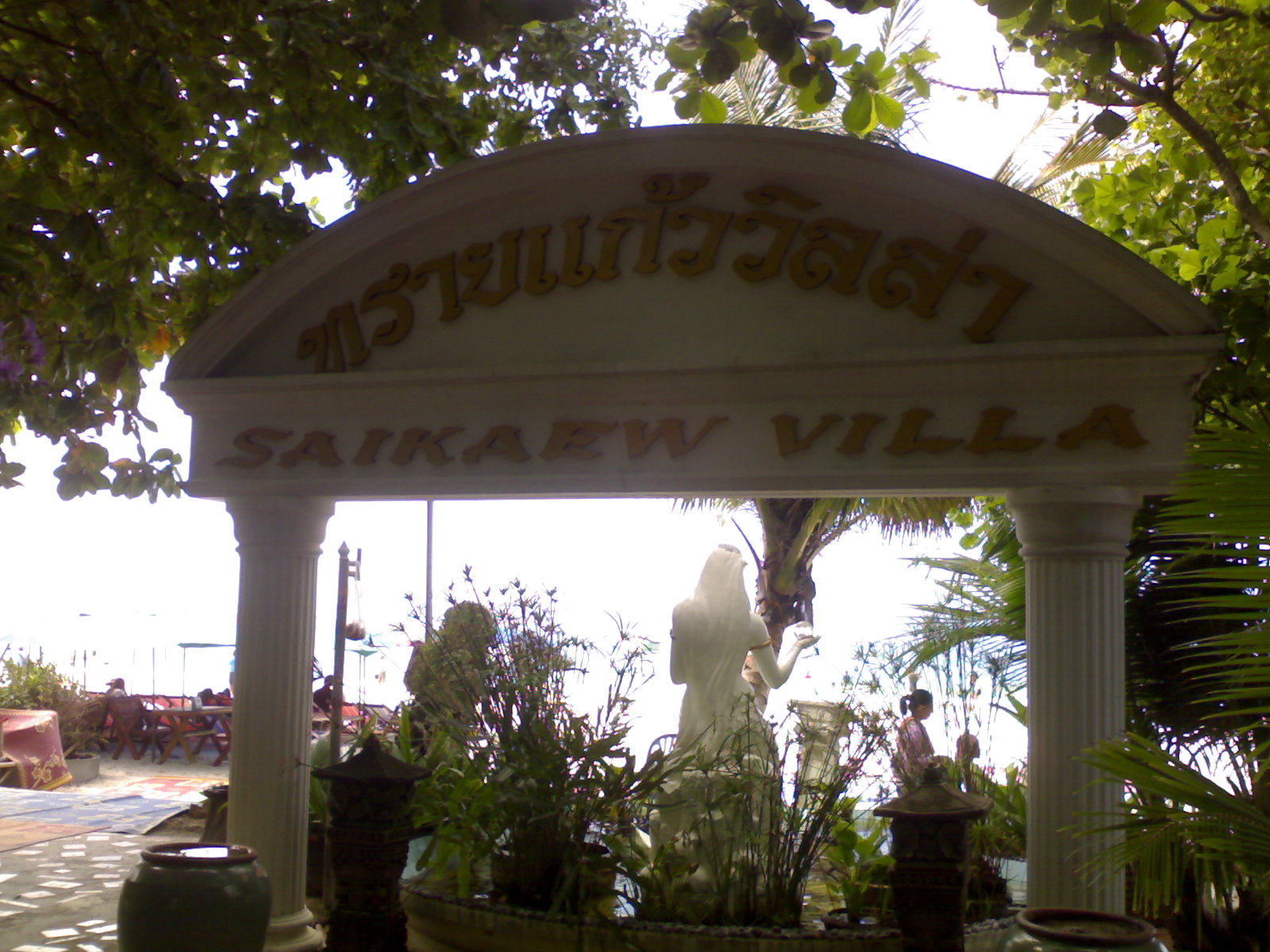 เรือเร็วท่าเรือเทศบาลบ้านเพ รูปที่ 3