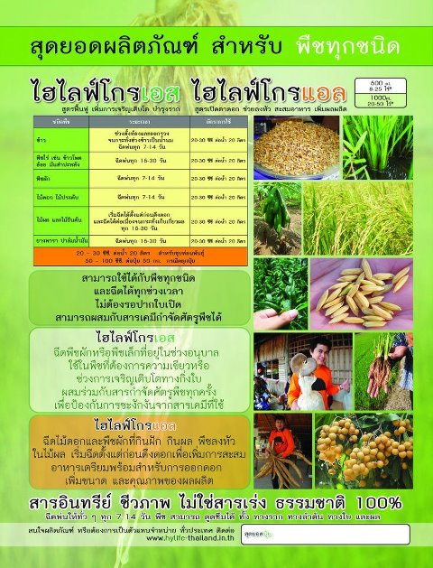 สุดยอดปุ๋ย ที่กำลังมาแรงที่สุด รูปที่ 3