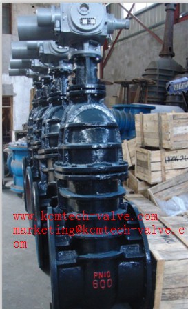 เกตวาล์ว Gate Valve รูปที่ 5