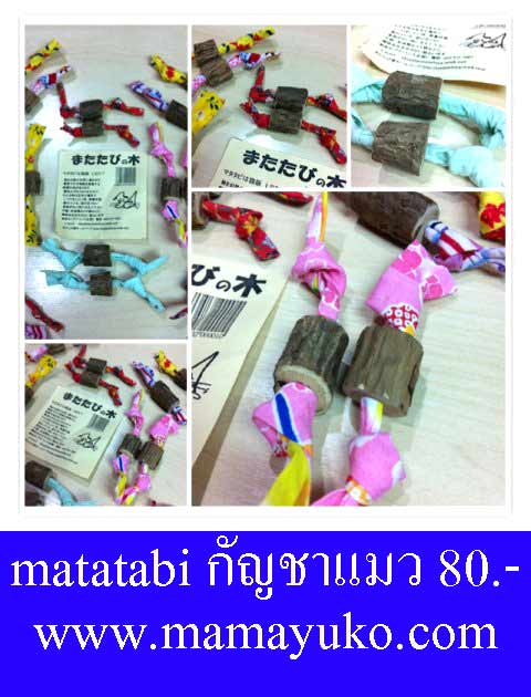 Matatabi มะทาทาบิ หรือ กัญชาแมว 80 บาทจ้า   รูปที่ 2