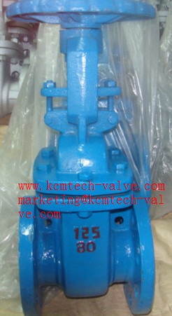 เกตวาล์ว Gate Valve รูปที่ 7