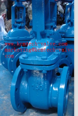 เกตวาล์ว Gate Valve รูปที่ 3