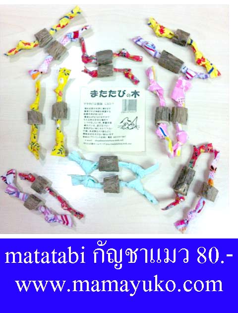 Matatabi มะทาทาบิ หรือ กัญชาแมว 80 บาทจ้า   รูปที่ 1