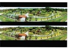 Resort for Sale at Prachaub khirikhan Province รูปที่ 6