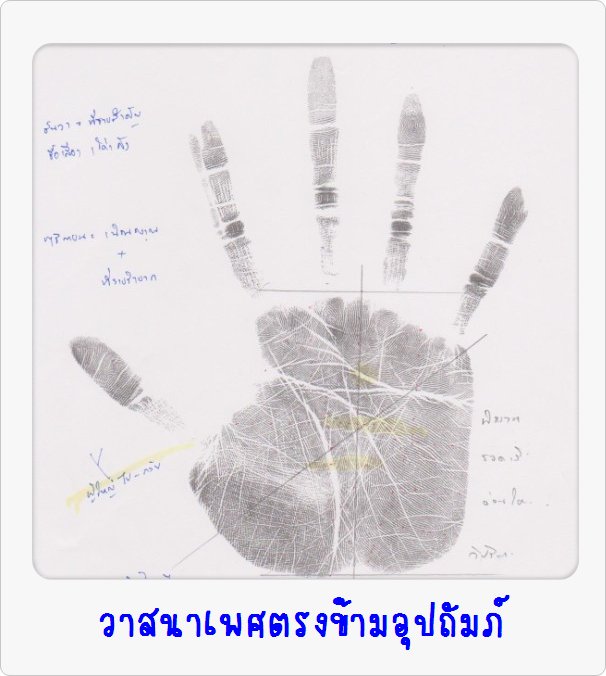 หัวข้อประกาศหมอดูแม่น ดูลายมือ ดูดวง ทำนายอนาคตจากลายมือของท่าน แม่นยำ 100%  รูปที่ 5