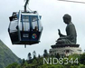 รูปย่อ HKG1ฮ่องกง - ไหว้พระ3วัน (EK) เริ่มต้น16,900 รูปที่4