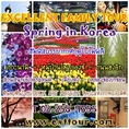 SPRING IN KOREA