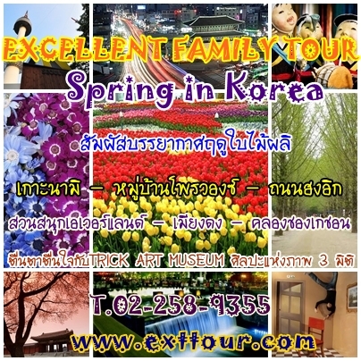 Tour SPRING IN KOREA  รูปที่ 1