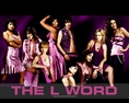 DVD The L word season 1-6