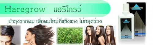 แฮรี่โกว์ ( Haregrow ) ผลิตภัณฑ์บำรุงรากผม เพื่อผมใหม่ที่แข็งแรง ผลงานวิจัยล่าสุดที่รับรองคุณภาพโดย ศาสตราจารย์ ดร.ยาง  รูปที่ 3