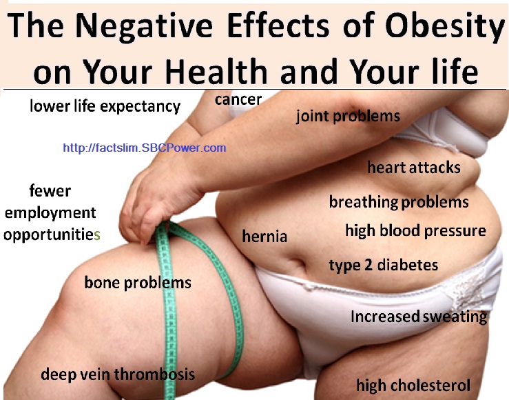 Skinny Body Care เพื่อสมดุลการย่อย รูปที่ 2