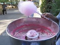 PartyMaker รับจัดงานวันเกิด โบโซ่บิดลูกโป่ง เพนท์หน้า ตัวตลก 0815546479   รูปที่ 6