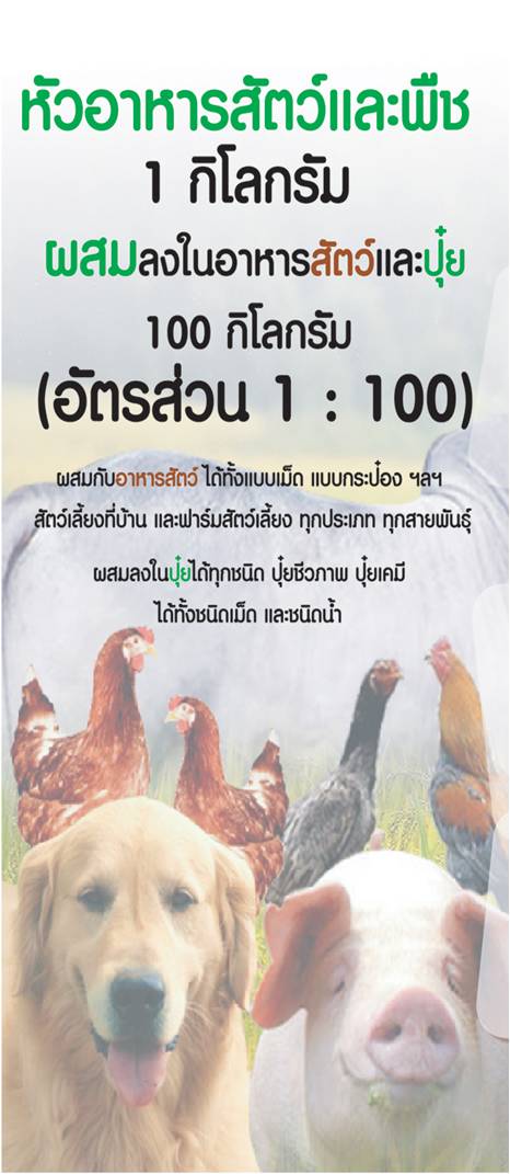 MACSUMSUK สินค้าใหม่จากเกาหลีใต้ โทร. 0805525600,0837650339 รูปที่ 3
