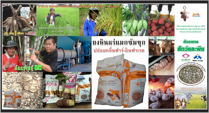MACSUMSUK สินค้าใหม่จากเกาหลีใต้ โทร. 0805525600,0837650339 รูปที่ 6