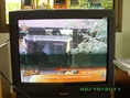 ขายทีวี PANASONIC 33