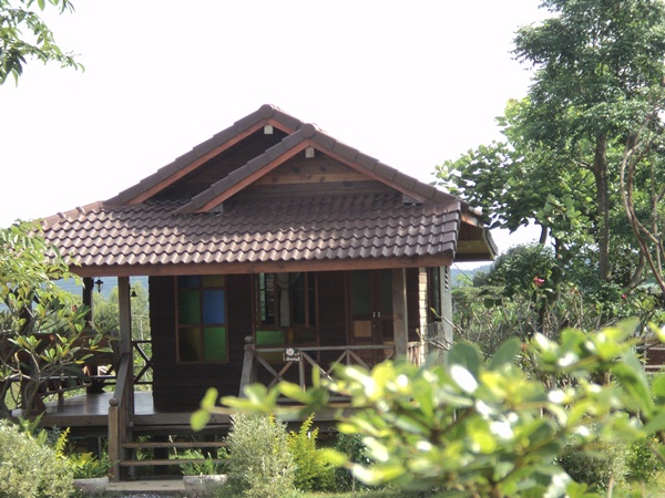 บ้านต้นไม้ ทองหัตถา ทุ่งดอกกระเจียว จ.ชัยภูมิ รูปที่ 6