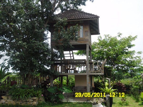 บ้านต้นไม้ ทองหัตถา ทุ่งดอกกระเจียว จ.ชัยภูมิ รูปที่ 4