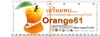 รูปย่อ Orange61 ผลิตภัณฑ์ลดน้ำหนักอันดับ 1 ของอเมริกา ปลอดภัย มีอ.ย. ลด 5-10 กก ใน 28 วัน รูปที่5