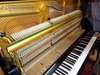 รูปย่อ บริการซ่อมเปียโน จูนเสียง ทำสี และขนย้ายเปียโน โทร088-4170945คุณกริช จูนเสียง1000บาท(upright) รูปที่1