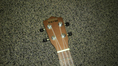 ขาย Ukelele ทรง Concert มือ 2