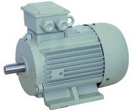  มอเตอร์ MOTOR ไฟฟ้า HASCON MERZ WEG High Efficiency Motor มอเตอร์ประสิทธิภาพสูง (EFF 1) มอเตอร์ประหยัดพลังงาน  รูปที่ 1