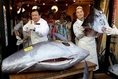 ปลามากุโร่ราคาสูงถึง 22 ล้านบาท ติดตามข้อมูลทั้งหมดได้ที่นี่ We Love japan