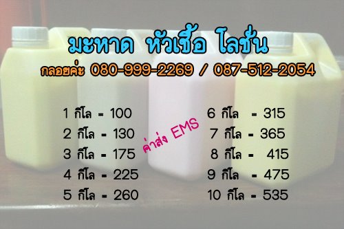 มะหาด หัวเชื้อ  รูปที่ 4