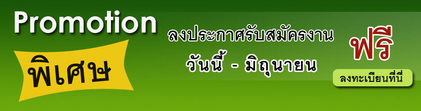 www.myjob.co.th รูปที่ 1