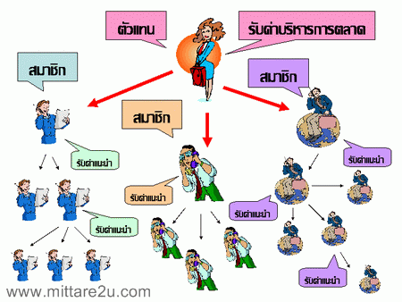 ตัวแทนประกันวินาศภัย ฟรีแฟนไซส์ รูปที่ 1