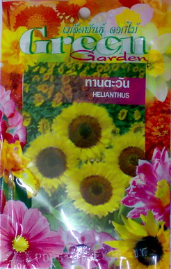 เมล็ด ดอกทานตะวัน Helianthus (Sunflower)    รูปที่ 1