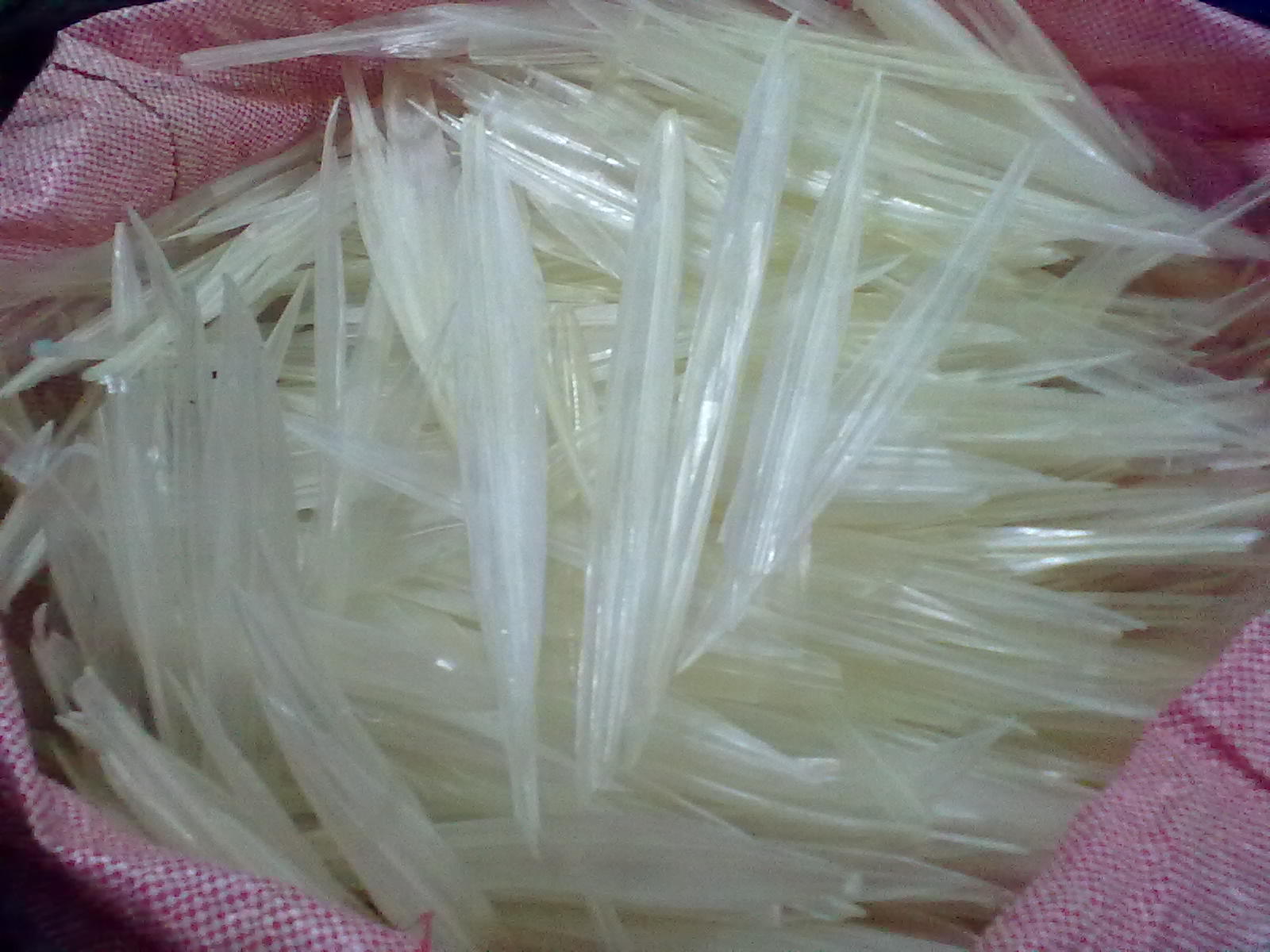 ขาย ลิ้นทะเล (กระดองปลาหมึก) ราคาถูก มาแล้วจ้าาา !!!!! รูปที่ 5