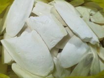 ขาย ลิ้นทะเล (กระดองปลาหมึก) ราคาถูก มาแล้วจ้าาา !!!!! รูปที่ 3