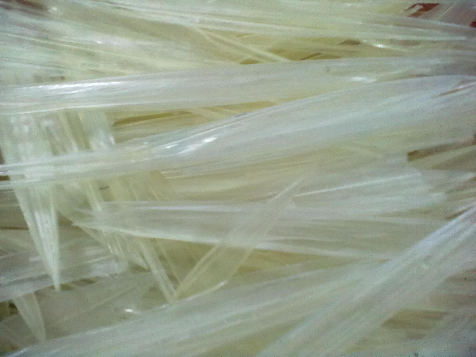 ขาย ลิ้นทะเล (กระดองปลาหมึก) ราคาถูก มาแล้วจ้าาา !!!!! รูปที่ 6
