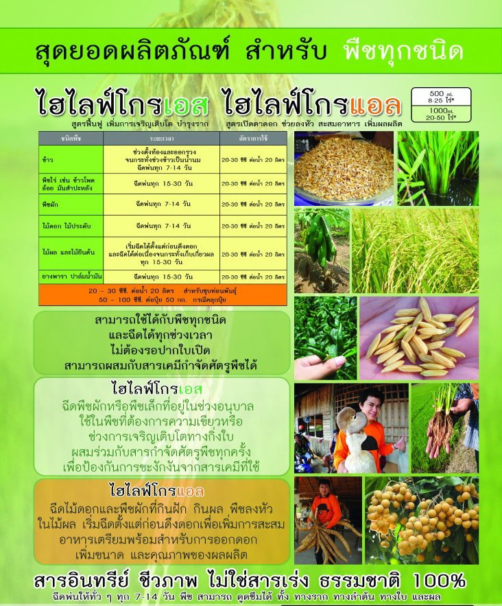 ปุ๋ยดีมีคุณภาพ รูปที่ 3