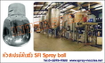 หัวสเปรย์ล้างถัง SFI Static Spray Ball for Higher Flow Rates