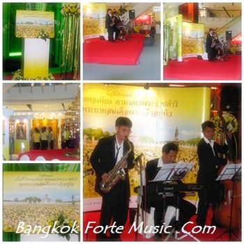 วงดนตรีBangkok Forte Music วงดนตรีงานแต่งงาน และงานเลี้ยงอื่นๆ ทั้งคลาสสิค ป๊อป แจ๊ส อคูสติค รูปที่ 6