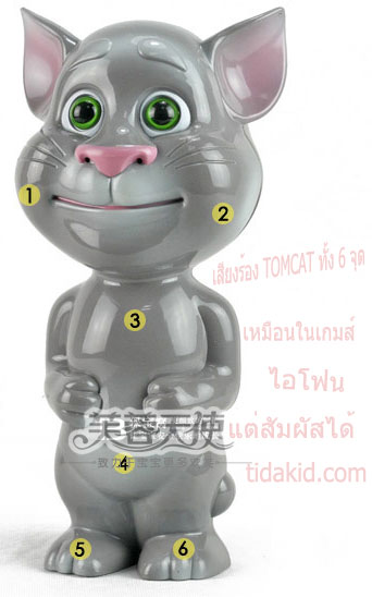 แมว Tom Cat รูปที่ 6