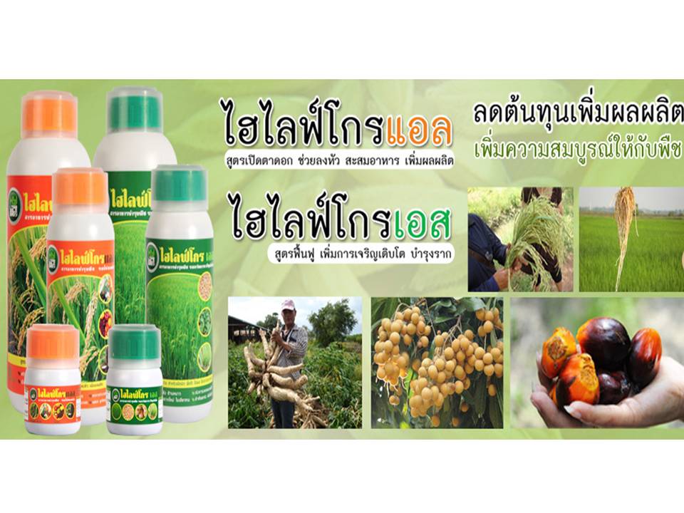 ปุ๋ยอินทรีย์เคมี  รูปที่ 7