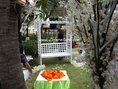 เช่าซุ้ม ซุ้มไม้จัดงาน ซุ้มไม้ ใช้เป็นจุด ถ่ายรูป ให้งานดูดีมีรสนิยม
