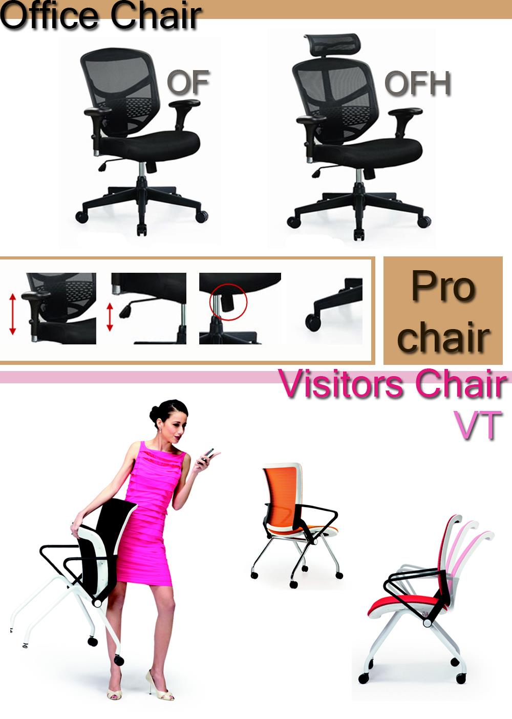 เก้าอี้ืเพื่อสุขภาพ DF Pro Chair รูปที่ 1