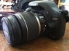 รูปย่อ Canon EOS Kiss X2 (450D) สภาพสวยๆ อุปกรณ์ยกกล่อง ราคาเบาๆ สำหรับนักศึกษา และ ผู้หัดเล่นกล้อง DSLR รูปที่3