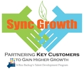 Sync Growth | Partnering Key Account to Gain Higher Growth