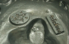 รูปย่อ แหวนพญาครุฑ เนื้อเงินรมดำ อ.วราห์ วัดโพธิ์ทอง ปี2548 รูปที่2