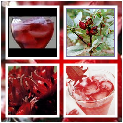 Thai Herbal Drink… จำหน่ายน้ำสมุนไพรไทยคุณภาพ รูปที่ 6