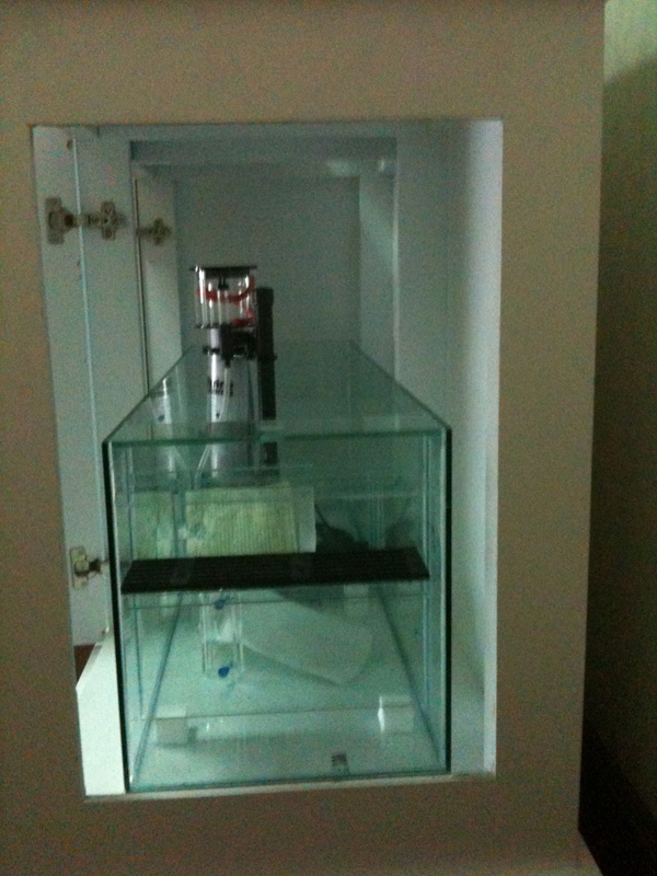 ต้องการขายตู้ปลา 48x20x20 นิ้ว พร้อมขาเฟอร์ และกรองล่าง 42x16x16 รูปที่ 3