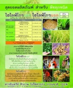ปุ๋ยชีวภาพมูลค้างคาวและปุ๋ยชีวภาพชนิดนำ้้ำ้ รูปที่ 4