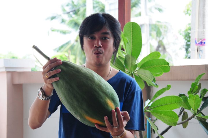 ปุ๋ยชีวภาพมูลค้างคาวและปุ๋ยชีวภาพชนิดนำ้้ำ้ รูปที่ 5